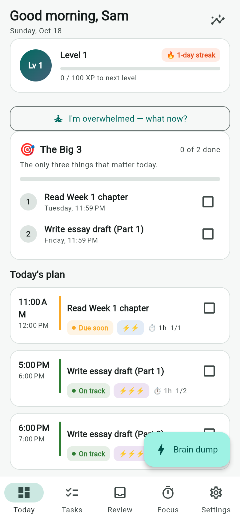 Plan Not Perfect on a phone: the Big 3 card, today's plan and the brain dump button.